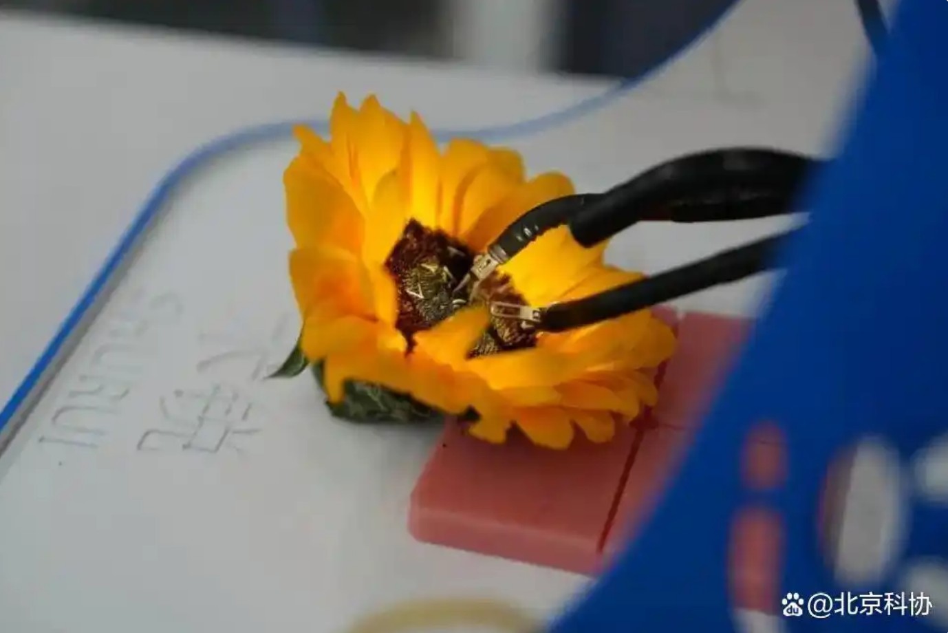 QQ20250724-171159.jpg